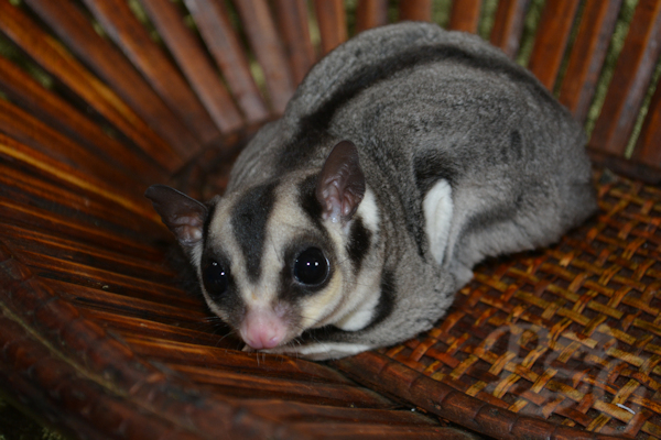 Photo of Coil