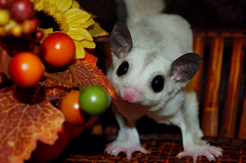 Photo of Olivia