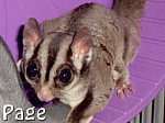 Photo of Page